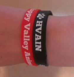 Happy Valley Animals in Need, Philipsburg, PA, Cat Rescue Animals, Pet Adoption